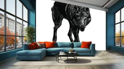 saarloos wolfdog illustration isolated on background	 Wall mural