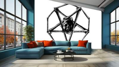 skull and bones star inverted hand drawing vector isolated on background. Wall mural