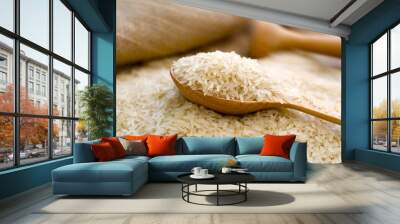 raw rice in spoon Wall mural