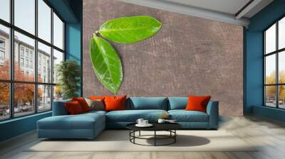 2 Green leaves on the table Wall mural