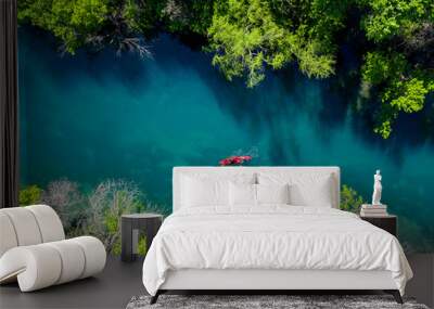 Barton Creek Overhead Wall mural