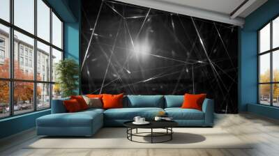 Light Contrast Web Wall mural