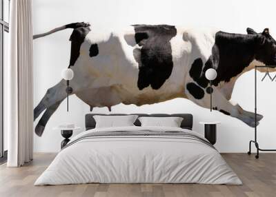 A flying cow isolated on white Wall mural