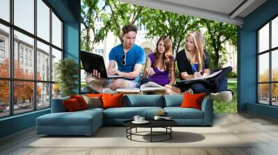 Group of students studying together Wall mural