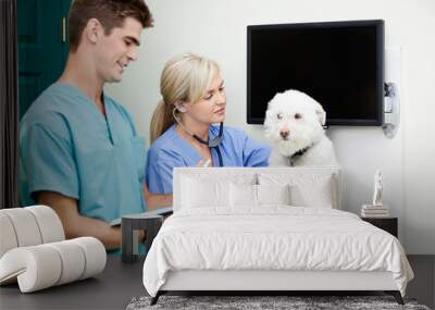 veterinarian doctors examining a dog at clinic Wall mural