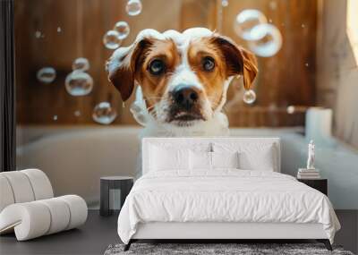 Dog taking bath with shampoo and bubbles Wall mural