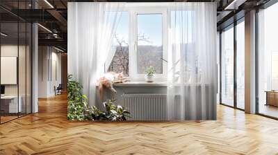 Window with white tulle and sleeping cat on windowsill Wall mural