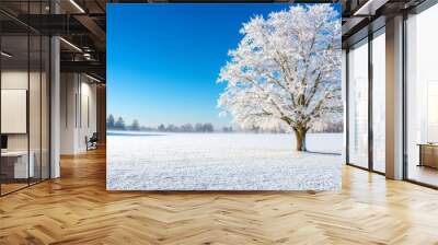 An idyllic winter landscape of two trees covered in snow, covered in a clear blue sky at sunrise. Wall mural