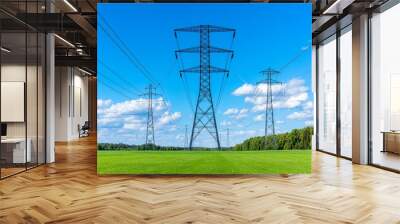 Forest clearing with power poles in the distance Wall mural