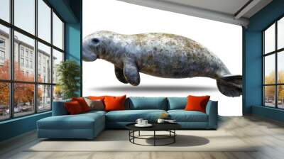 Isolated on a transparent background, a manatee swims in the water Wall mural