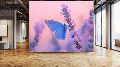 Stock photo of two fluttering butterflies on a field of wild blue flowers, tonally shaded in blue and purple. Wall mural