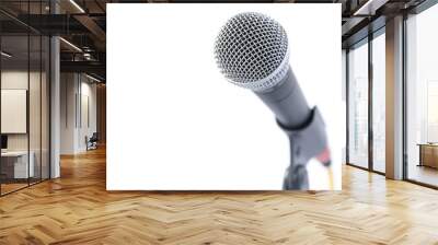 professional microphone Wall mural