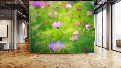 Cosmos flowers vintage Wall mural