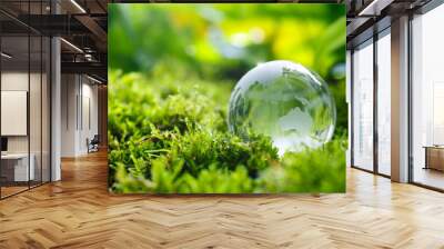 Glass globe nature concept Wall mural