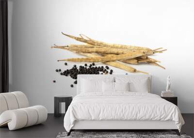 Closeup of canola seeds and dried pods of it on the white background Wall mural