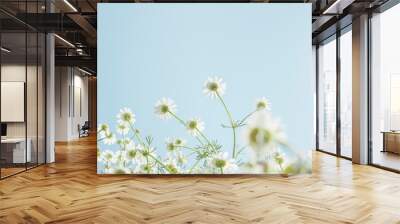 Gentle white spring flowers against blue clean sky Wall mural