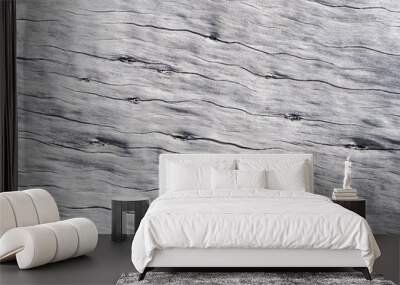 Rustic wood texture / Rustic gray wood background with structural effect. Wall mural