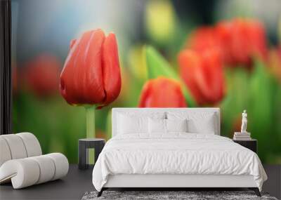 Soft light spring flowers, Red tulip flowers background, Selective focus. Wall mural