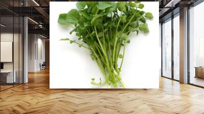 Watercress Wall mural