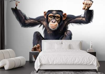 A chimpanzee ape hanging on white background,png Wall mural