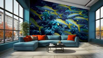 The beauty of the underwater world - big school of fish - The goatfishes - fish of the family Mullidae, the only family in the order Mulliformes - scuba diving in the Red Sea, Egypt Wall mural