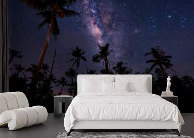 Starry night sky with milkyway galaxy. Image contain soft focus, blur and noise due to long expose and high iso. Wall mural