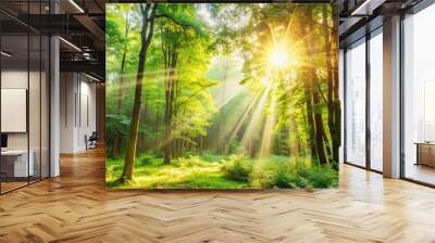 A tranquil forest scene with dappled sunlight filtering through the trees , nature, forest, trees, sunlight, peaceful Wall mural