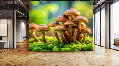 Close up of fresh brown mushrooms on a bed of green moss, food, fungi, organic, earthy, vegetarian, ingredients Wall mural