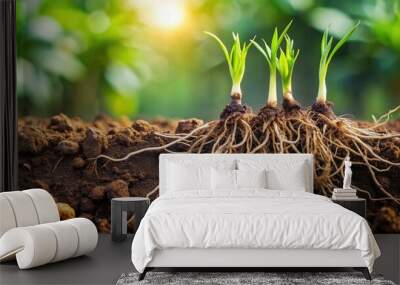 Close up of fresh roots emerging from the soil, nature, growth, plant, soil, close up, organic, gardening, green, Earth Wall mural