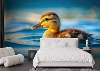 Duckling swimming in the vast ocean , duckling, ocean, swim, water, wildlife, animal, bird, nature, cute, adorable, small, baby Wall mural