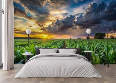 Enchanting landscape of a corn field at dusk after the rain, under a sky adorned with intense clouds, cornfield, dusk Wall mural