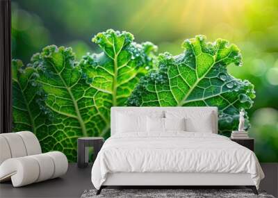 Fresh kale leaf with morning dew, vibrant green vegetable closeup, kale, leaf, morning dew, vibrant, green, vegetable, healthy Wall mural