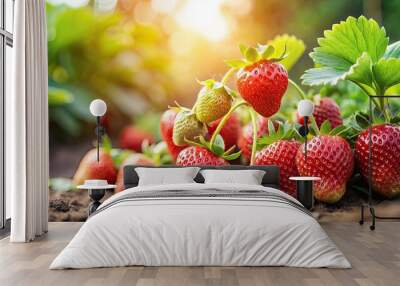 Fresh strawberries growing in a garden on a background, strawberries, garden, fruit, organic, vibrant, red, healthy, juicy Wall mural