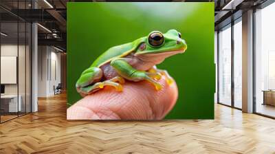 Lovely green frog perched on a finger, frog, cute, green, adorable, amphibian, wildlife, nature, finger, small, tiny Wall mural