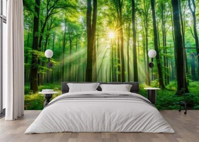 Lush forest background with tall trees, green foliage, and sunlight filtering through the leaves, forest, trees Wall mural