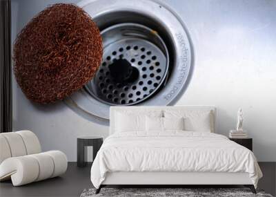 Food waste disposer sink, dish cleaning  Wall mural