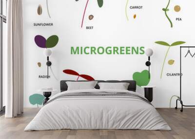 Set of various microgreens including sunflower, beet, carrot, pea, radish, cilantro, nasturtium, amaranth, broccoli, kohlirabi, cilantro and onion on white background.
Can be used for topics like orga Wall mural