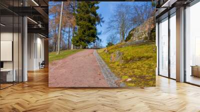 road at a park Wall mural