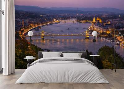 iconic view of Budapest Wall mural