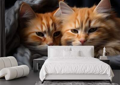 Two Cats Resting on Blanket Wall mural