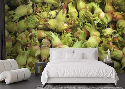 background of ripe raw hazelnuts green closeup Wall mural