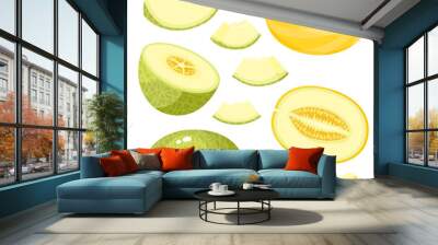 Bright vector set of juice melon isolated on white background. Wall mural