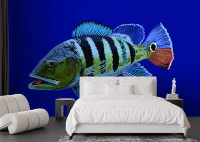 Drawing azul Pbass, art.illustration, vector Wall mural