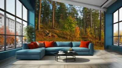 View of the mixed autumn forest near the village of Lumivaara on a sunny autumn day, Ladoga Skerries, Lahdenpohya, Republic of Karelia, Russia Wall mural