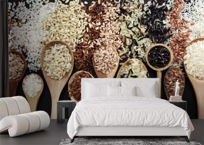 Colorful mix of rice varieties: red and brown, white and wild, black and parboiled, basmati and jasmine. Food ingredients background Wall mural