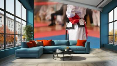 Taekwondo athlete with a black belt in a white kimono and red gloves at competitions. Wall mural