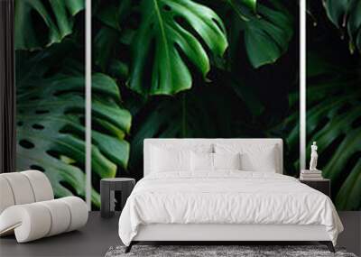  Jungle wall background. Green tropical palm leaves with monstera foliage forest. Wall mural