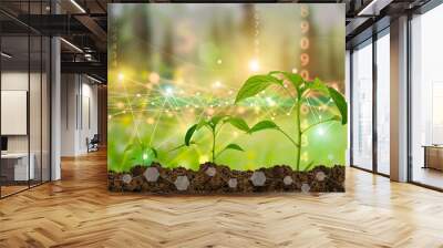 Agricultural technologies for growing plants and scientific research in the field of biology and chemistry of nature. Living green sprout in the hands of a farmer. Organic digital background Wall mural