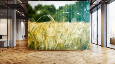 Agricultural technologies on the farm. Wheat field with holographic data and technology. Agricultural development, cultivation modernization concept. Wall mural