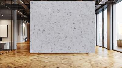 Terrazzo concrete texture background. Gray stone mosaic surface  Wall mural